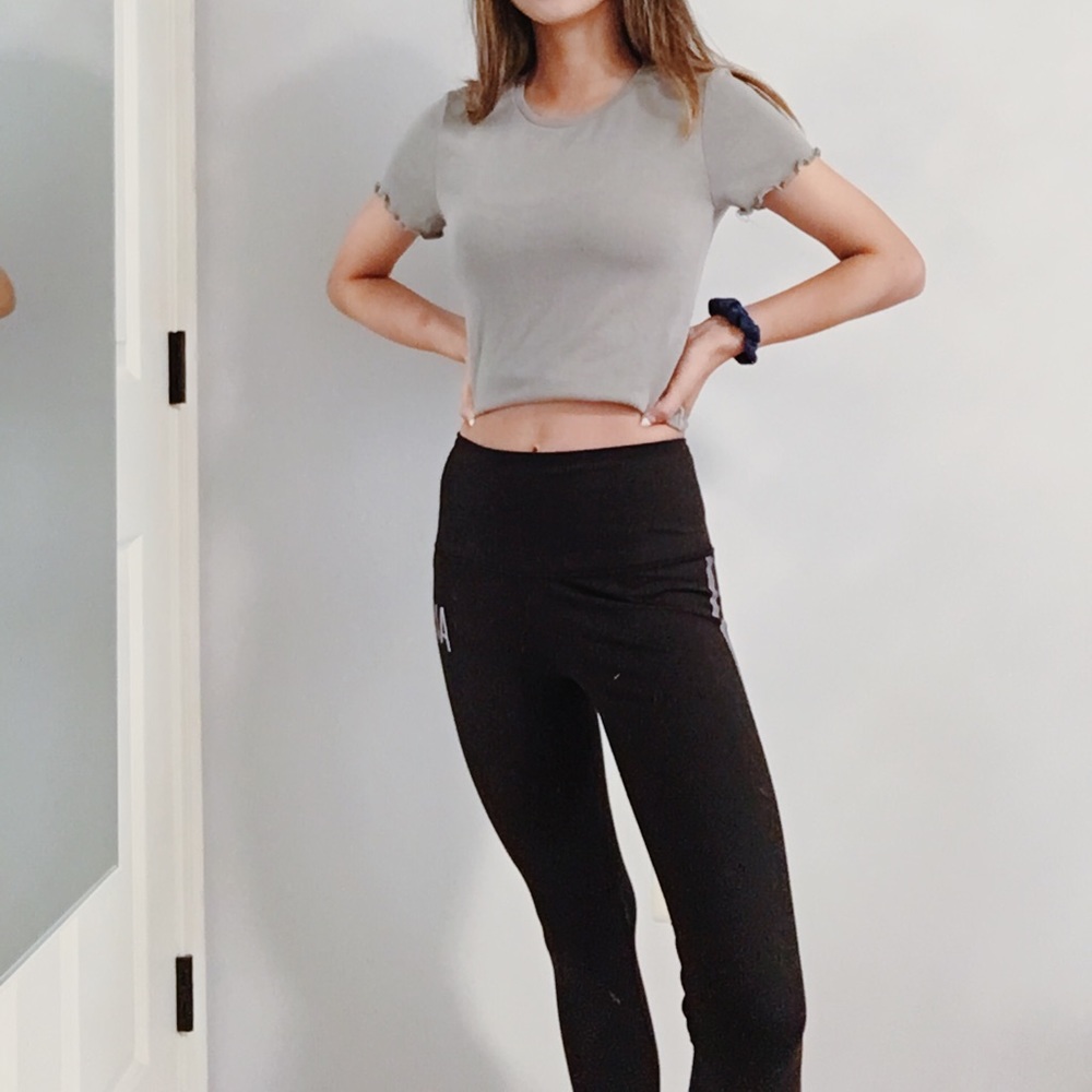 Green Lettuce Cut Top